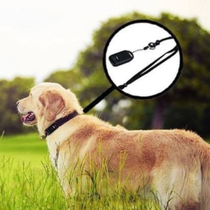 GPS tracker dla zwierząt