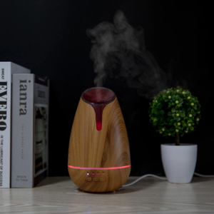 Mini kamera ukryta kamera dyfuzor olejku zapachowego